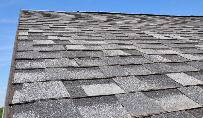 Summer Roofing Projects